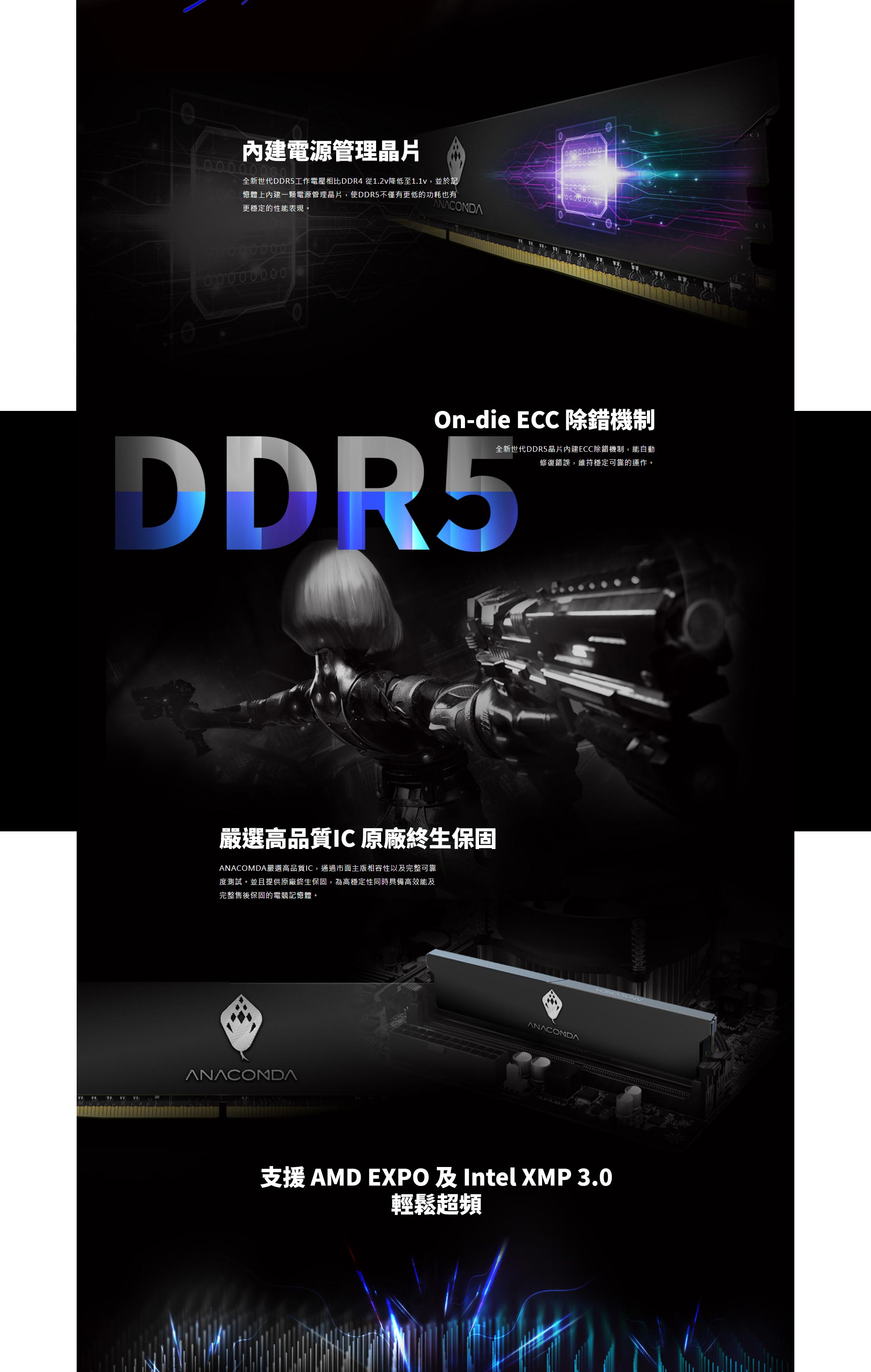DDR5記憶體產品網頁設計案例