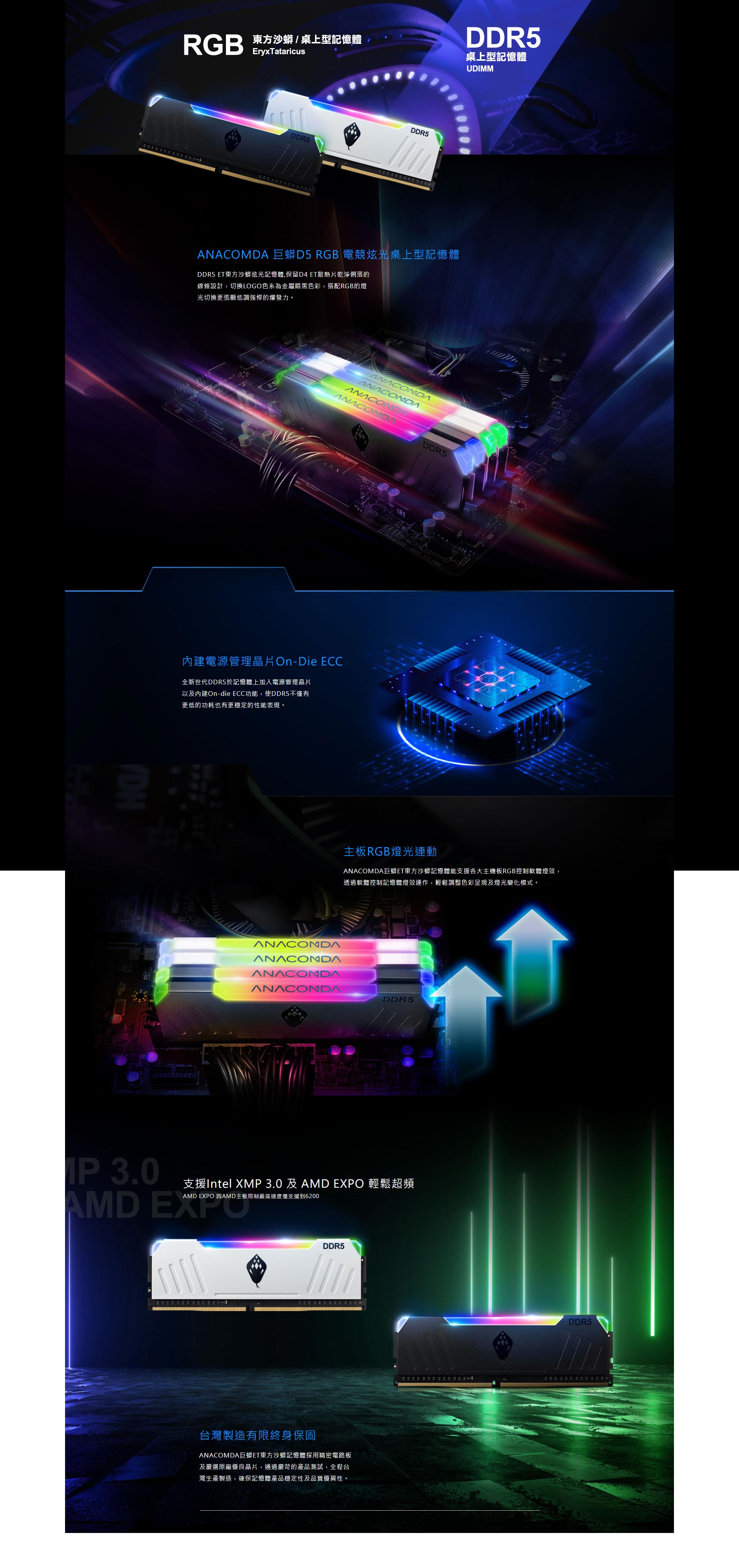 電競RGB桌上型記憶體產品網頁設計案例